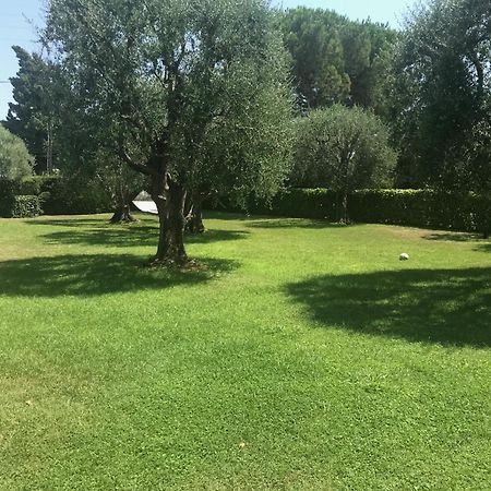Magnifique Villa Moderne Avec Piscine La Gaude Exterior foto